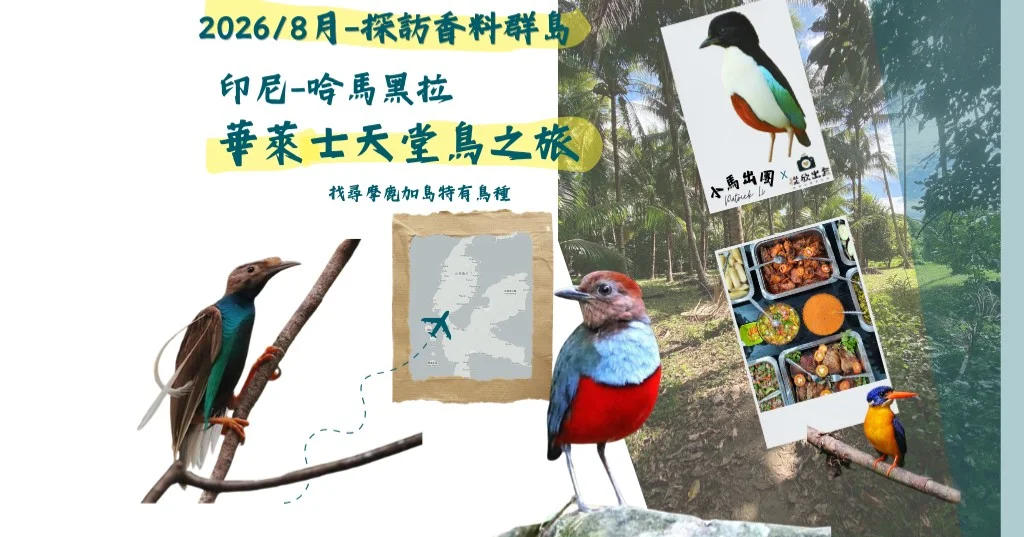 2026 印尼哈馬黑拉｜走過BBC團隊的路-探訪華萊士天堂鳥